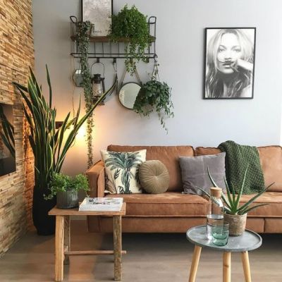Decoração com Plantas - Sala com vasos de plantas, sobre a mesa e pendurada na parede.