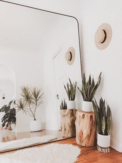 Decoração com plantas dentro de casa