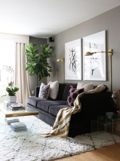 sala com sofá preto e planta lateral