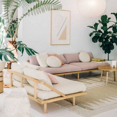 sofá rosa moderno em sala com plantas