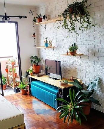 sala com plantas