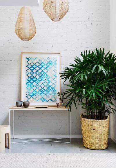 Plantas para apartamento: palmeira rafis