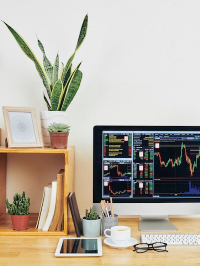 7 Plantas Perfeitas para Home Office