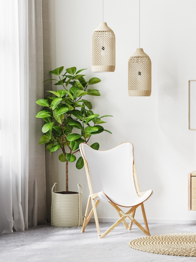 Cadeira com luminária e planta - tendência de decoração