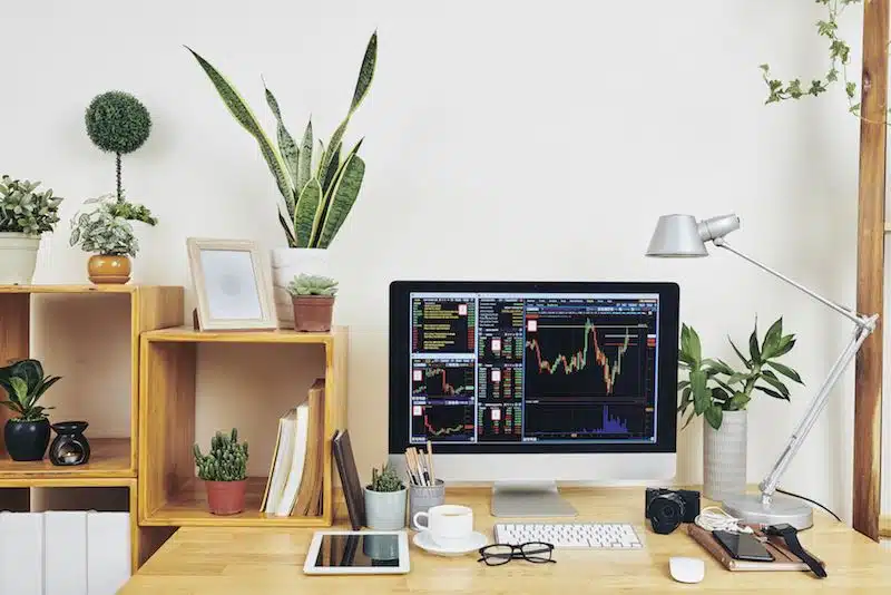 Plantas para home office 